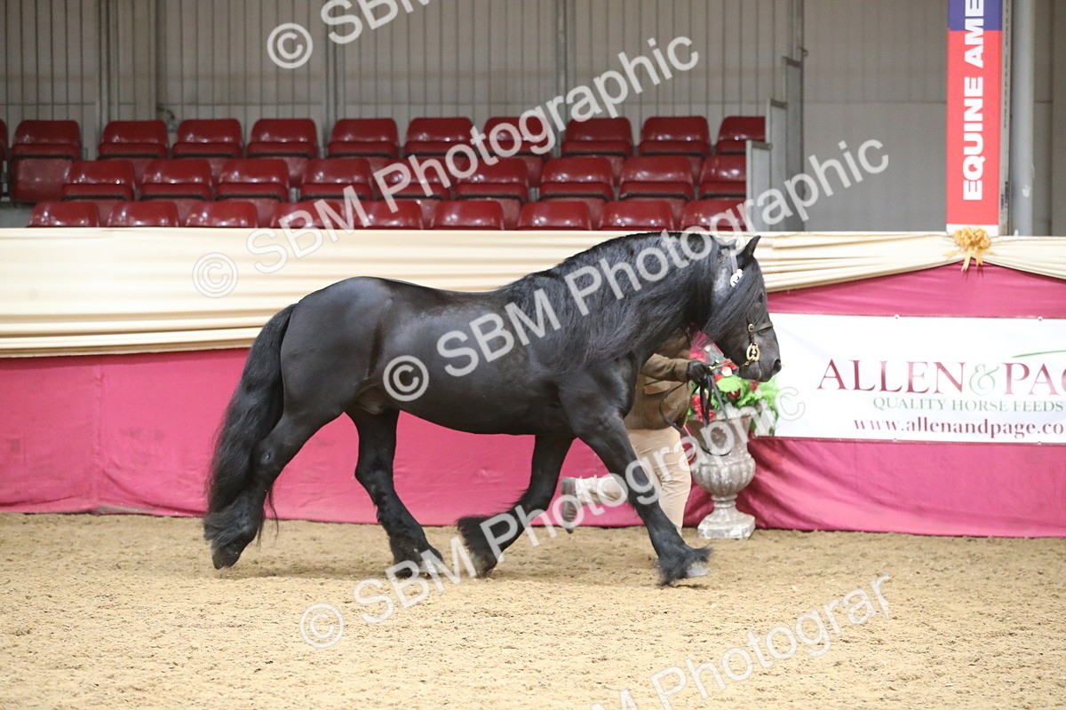 SBM_05289 - Class 8R - Regional IH Veteran