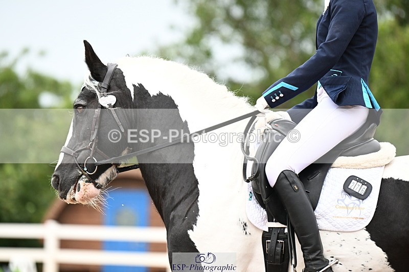 240815A-142851-02047 - 276-Alys.Matravers-Tiger.Tim