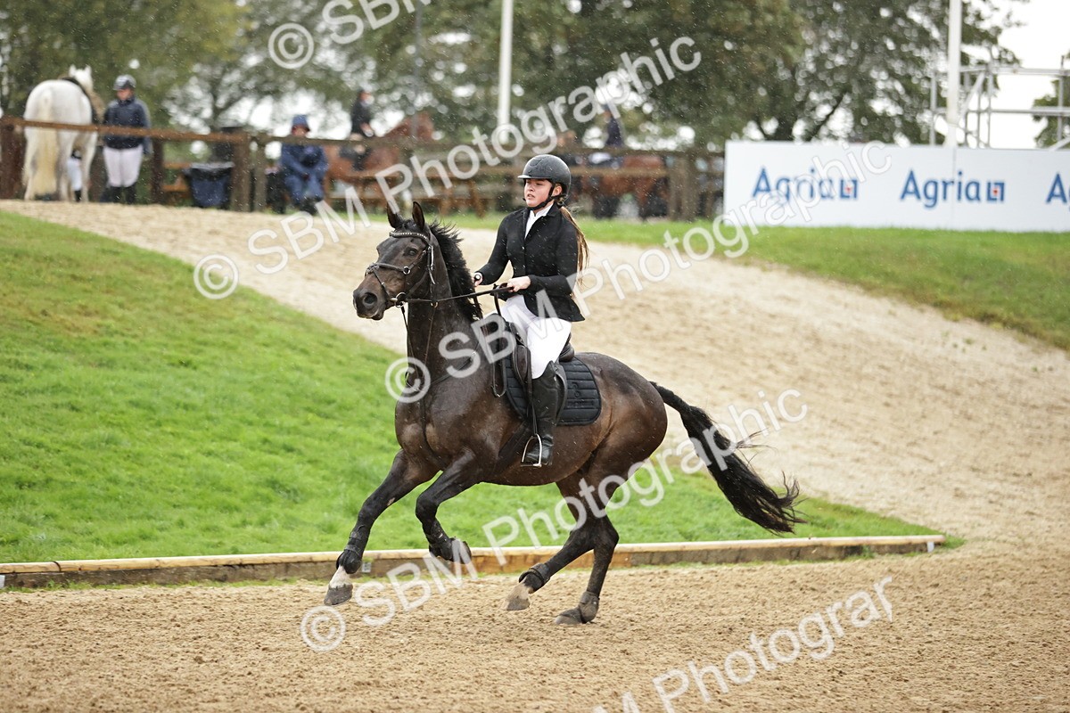 SBM_33152_J38 Senior Horse and Pony 80cm Championship - Dolcie Mae Ivison