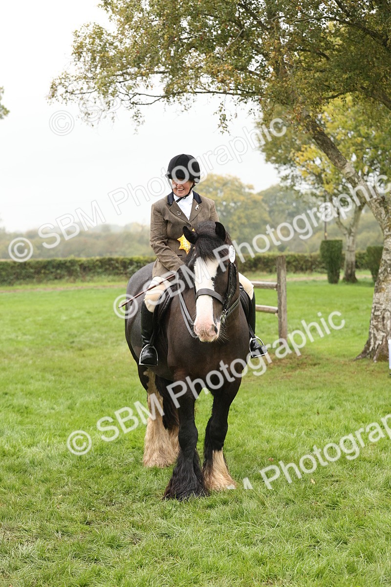 SBM_69869 - S69 - Show Cob Ridden
