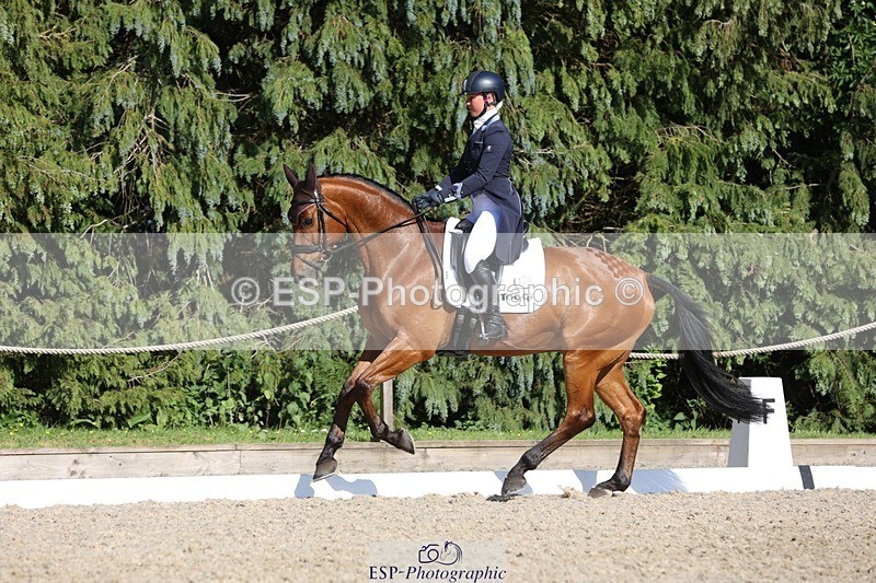 230526-172002-07953 - 177-ARGENTINO_BK-Dani_Evans-WEDTrotUp+DR