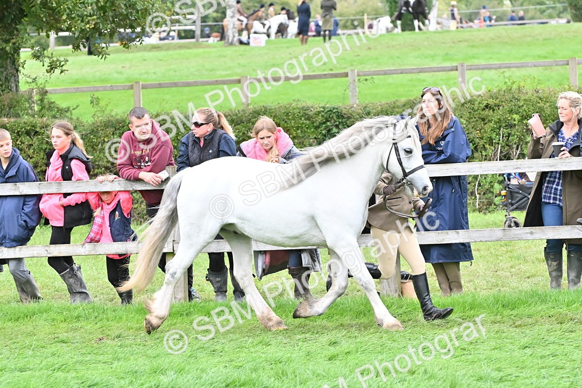 SBM_68539 - S42 - Junior Handler 9-12 Years