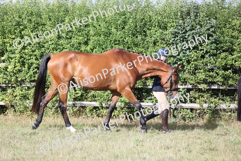 20250831-1520 - Class 21 - Inhand Open