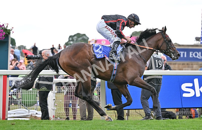 190826-092 Maltese Cross - Race 3 15.00pm Sky Bet Great Voltigeur Stakes