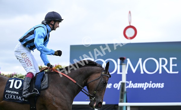 220825-164 Asfoora - Race 4 3.35pm Coolmore Wootton Bassett Nunthorpe Stakes