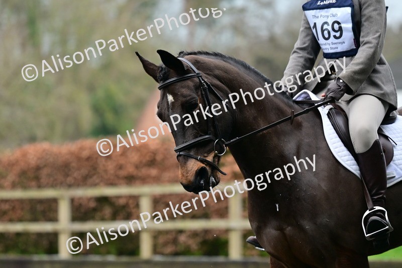 20260125-3788 - Class 12 - Novice