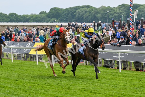 160524-Race 2-Point Lynas-5424 - Race 2 2.45pm Oakmere Homes Hambleton Handicap