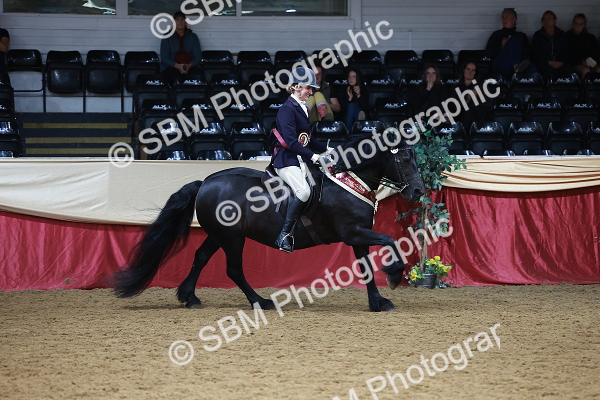 SBM_18911 - Class 952 - M&M Ridden Supreme Final