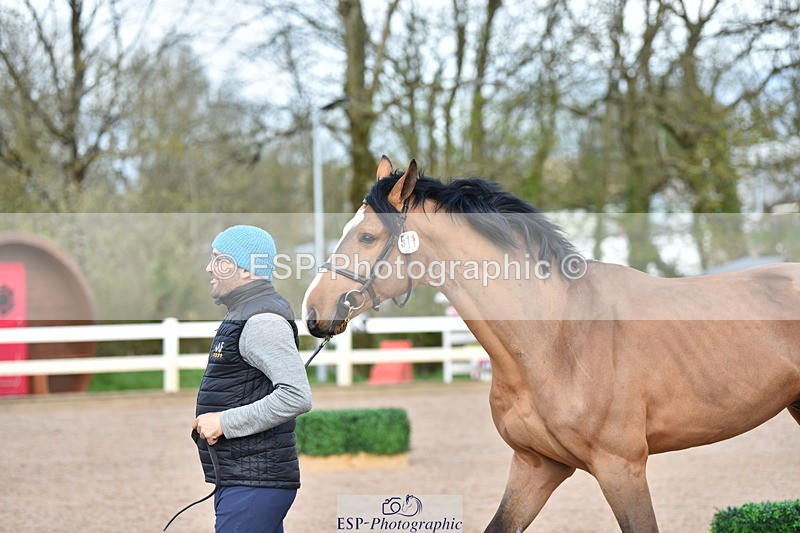 240417A-150820-00745 - 3pm to 4pm