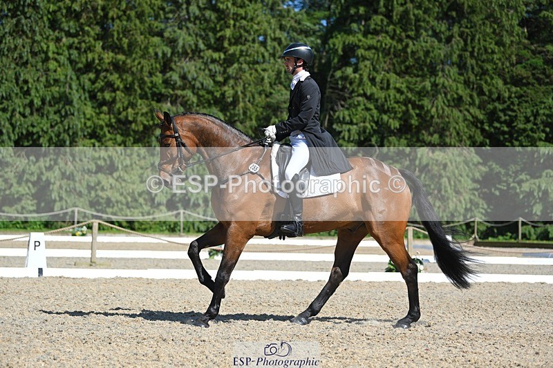 230526-161521-07313 - 255-HI_MR_HENRY-Henry_Hobby-WEDTrotUp+DR