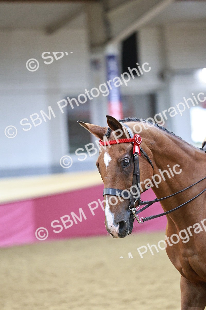 SBM_08178 - Class 11R - Regional Ridden Veteran