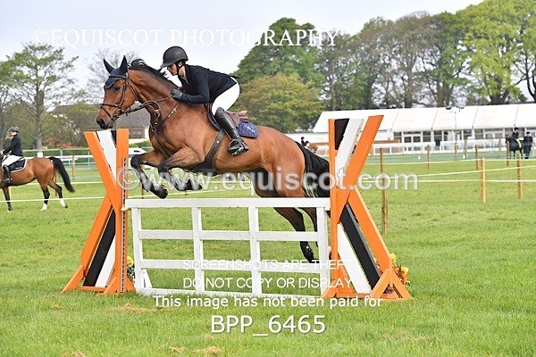 BPP_6465 - CLASS 1 Senior Newcomers/ 1.10m Open