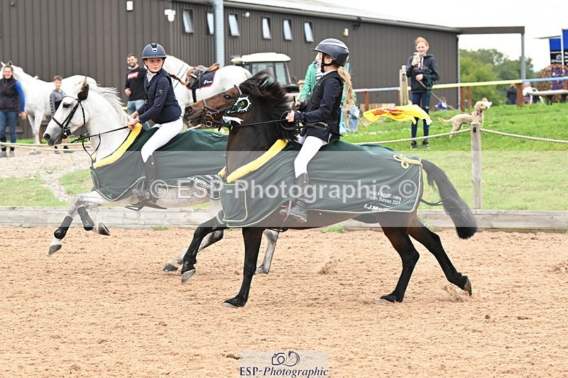 240907A-132900-01992 - Cls 3 Pony Medium Team 80cm & 90cm