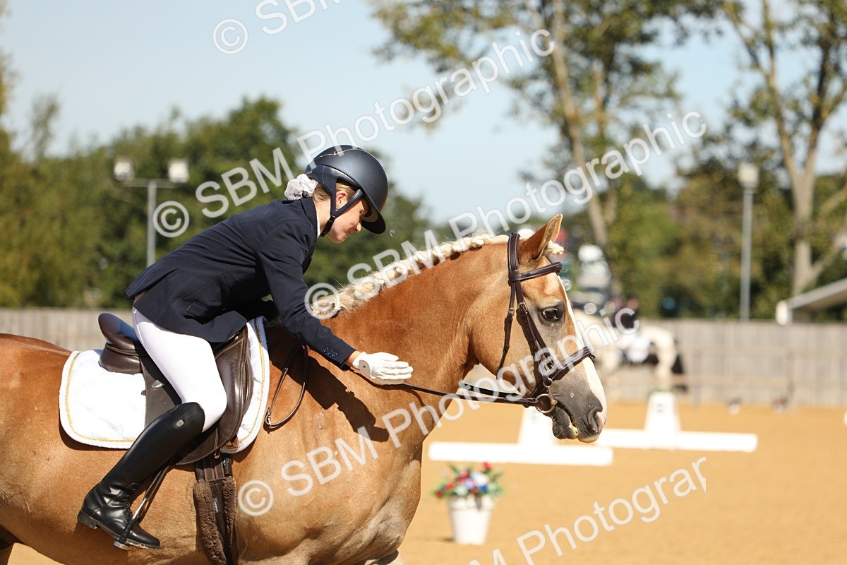 SBM_19759 - D10 - Small Tour Championship - Prelim 2