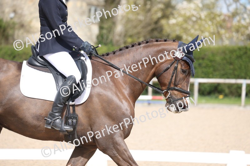 20260405-0385 - Class 4 - Novice 6