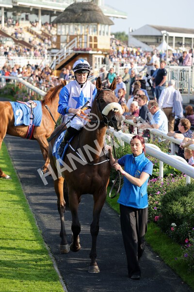 yr05092021r7-2 - Race 7 5.10pm Yorkshire Regiment Stakes