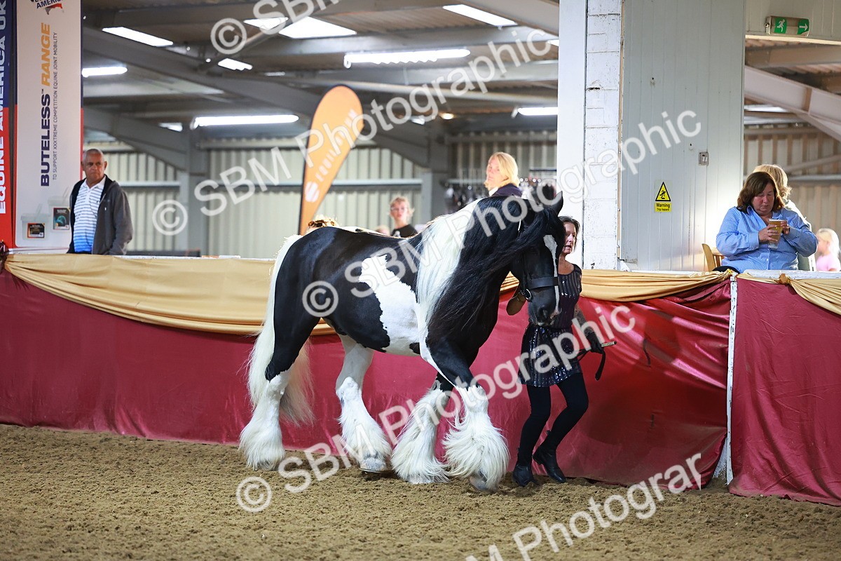 SBM_14944