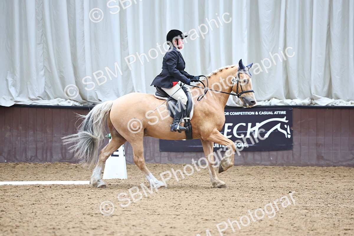 SBM_005400 - Class 3 - Novice 5