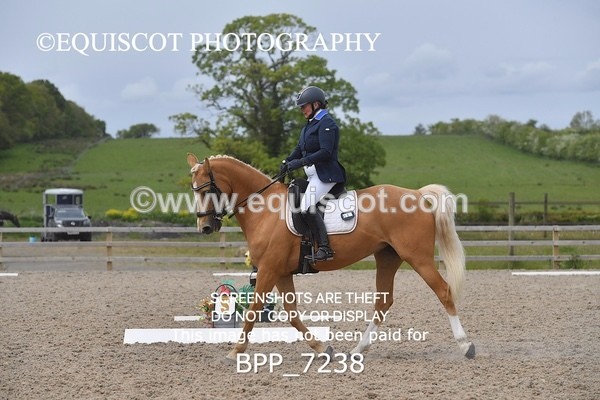 BPP_7238 - 3 D HARRISON