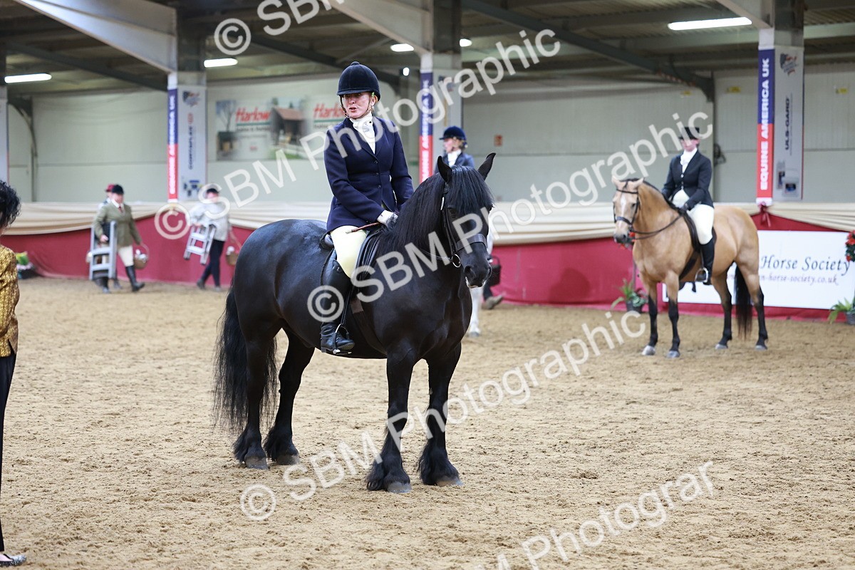 SBM_18770 - Class 952 - M&M Ridden Supreme Final