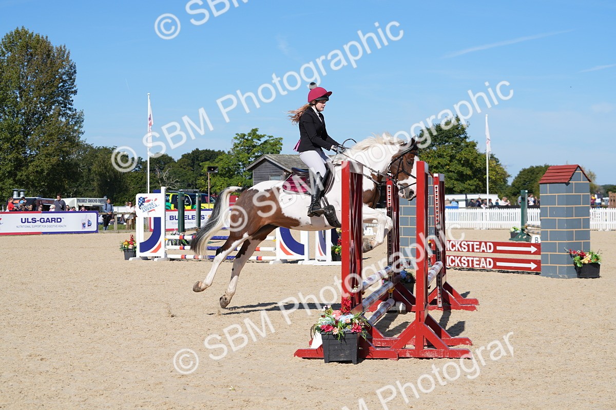 SBM_38672 - J21 - Junior Horse 60cm Championship
