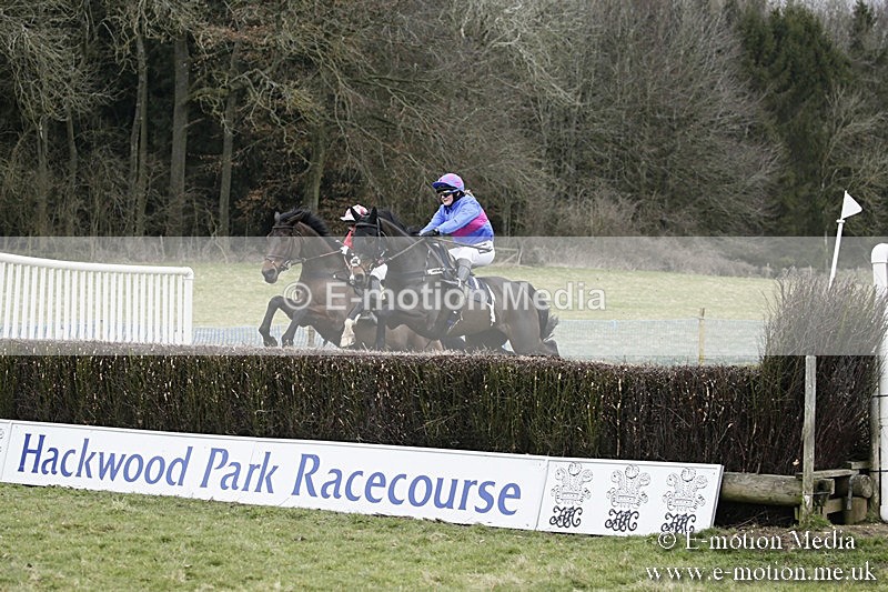 PtP 110318 152 - Hampshire Hunt Point-to-Point Hackwood Park 11/03/18