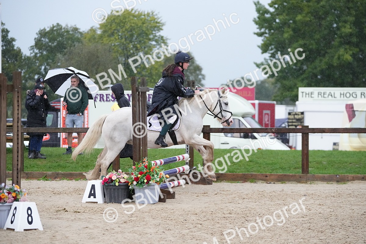 SBM_34121 - J5 - Junior Pony 50cm Championship