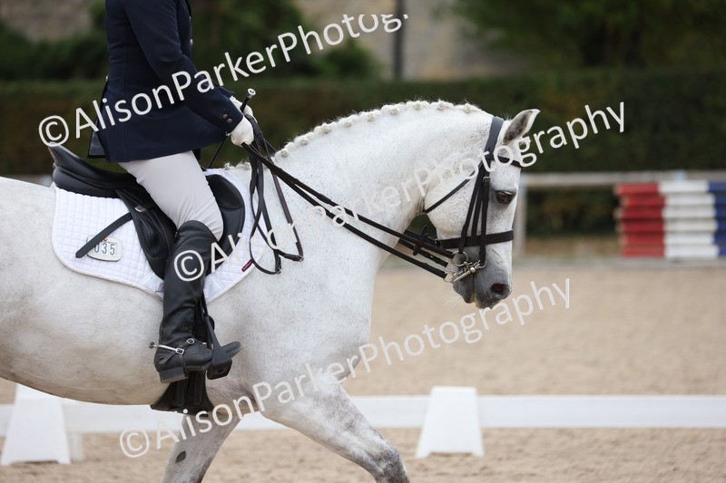 20250820-1146 - Class 17 - Elementary 4