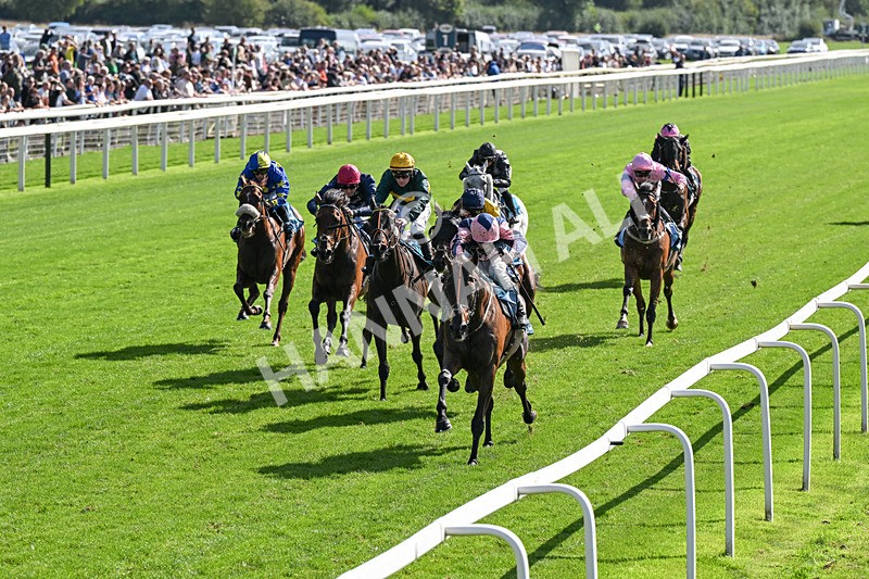 060926-Race 3-Moon Chime-0191 - Race 3 2.40pm Hanson Springs Stayers Handicap