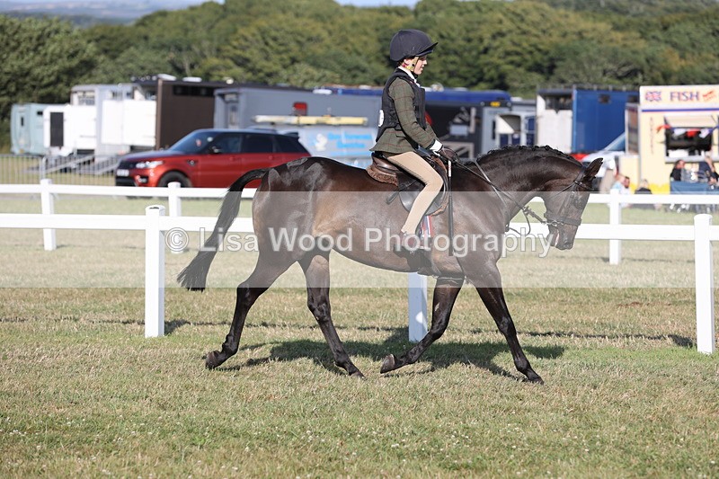 JPP_3274 - Class 21: Working Hunter 80cm