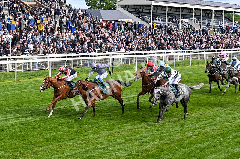 150526-Race 6-Fortification-0347 - Race 6 4.40pm Irish Thoroughbred Marketing Handicap