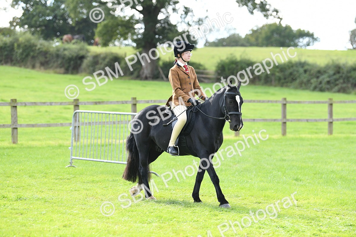 SBM_46687 - S12 - Family Horse & Pony