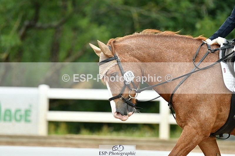 230701A-101759-04719 - Cls 4 Novice 23