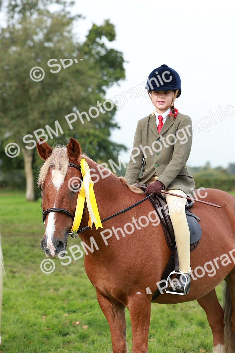 SBM_56506 - S39 - Starters In Hand Showing