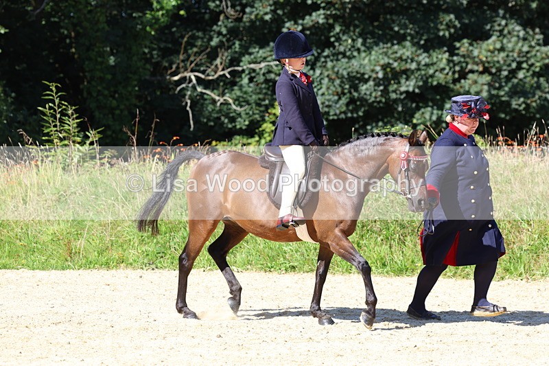 3E7A8015 - Class 15: Lead Rein