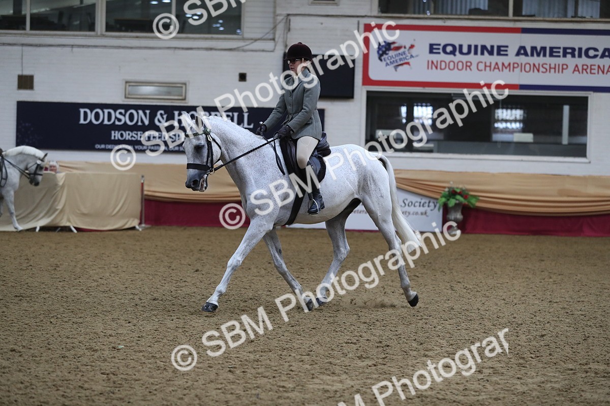 SBM_10412 - Class 102 Equitation (best rider) Adult