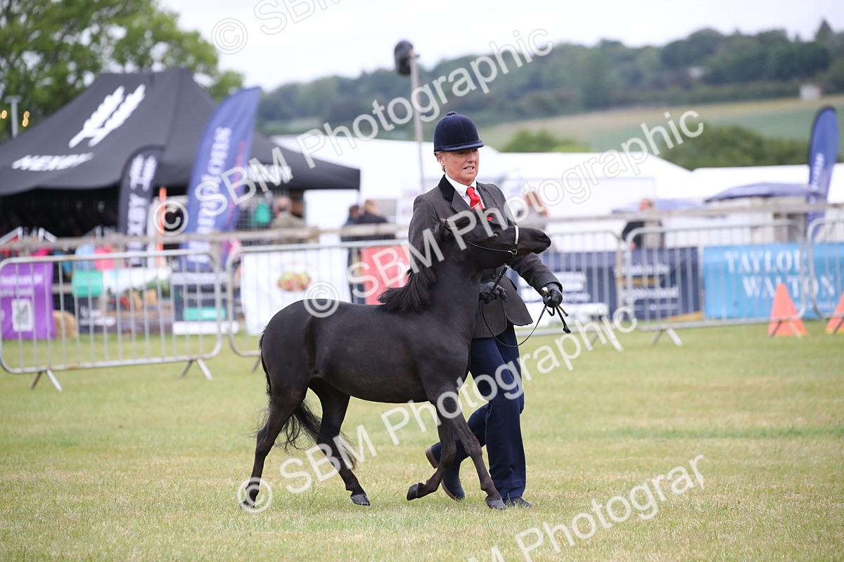 SBM_03493 - Class 23-25 - British Miniature Horse of the Year