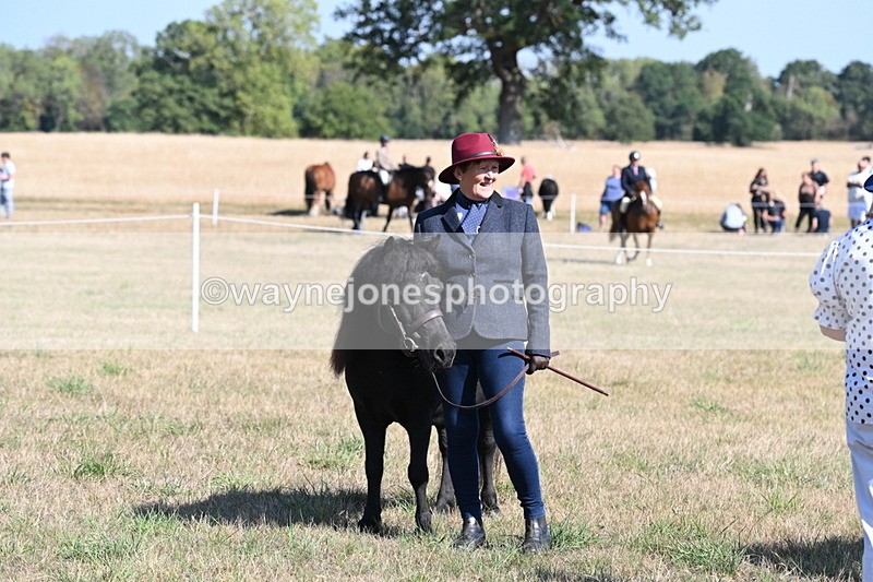 WJ6_4294 - Class 16 Condition & Turn Out