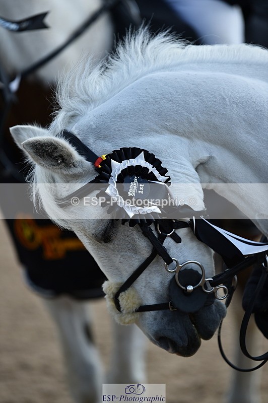 230902A-145112-01840 - Cls 3B Pony Medium 90cm