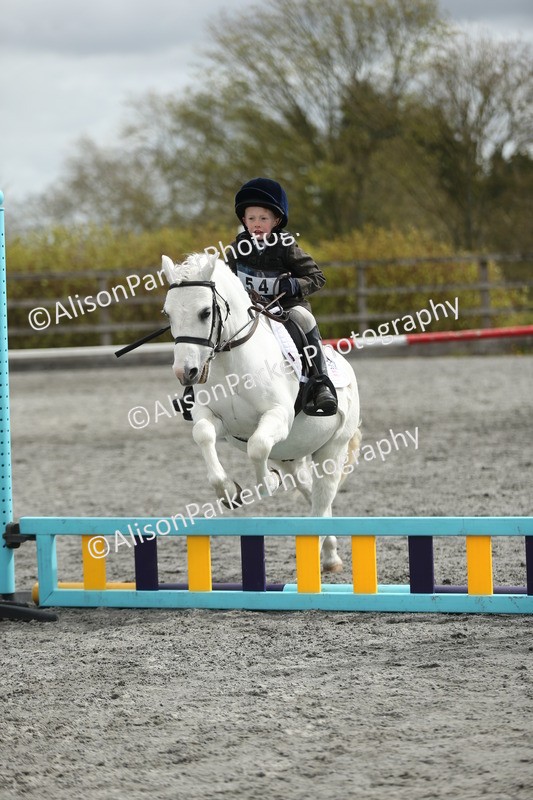 20260412-0709 - Show Jumping