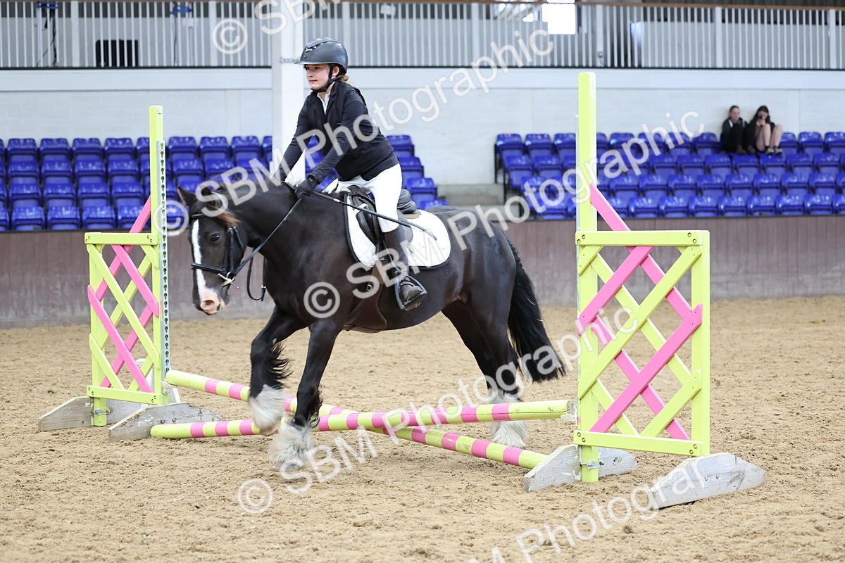 SBM_007048 - Class 1 - 40cm showjumping
