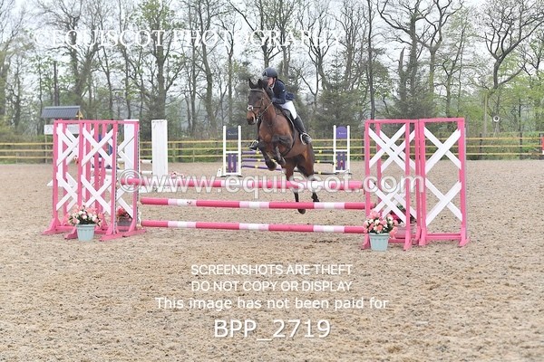 BPP_2719 - CLASS 4 Senior British Novice/ 90cm Open