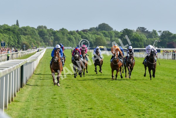 270523-Race 7-Shining Blue-4658 - Race 7 5.00pm Reg Bond Always And Forever Handicap