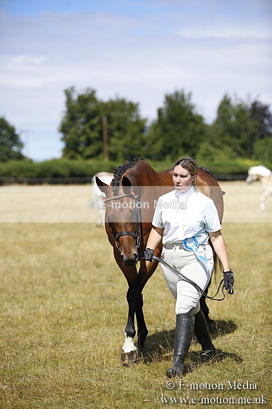 _C7A9699 - BVRC Sow 2018 Ring 2