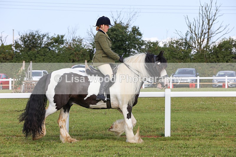 1X9A3196 - Class 28: Ridden Native/Trad Coloured Pony