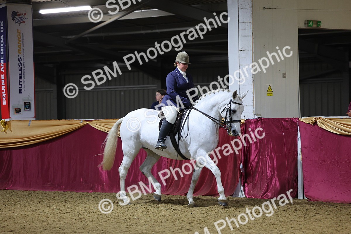 0B8A4484 - Class O Ridden Show Horse Champ