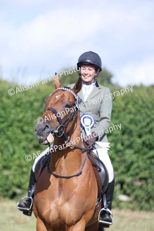 20250831-0939 - Class 14 - Ex Racehorse