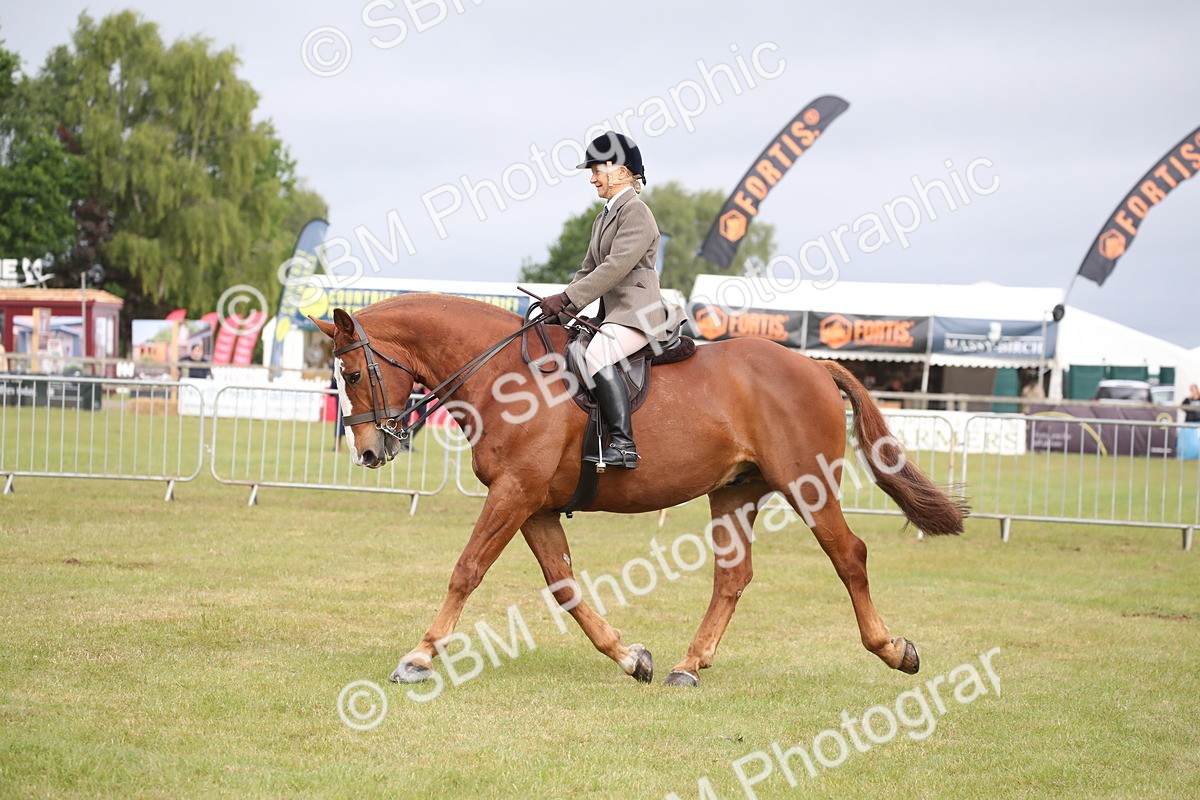 SBM_11238 - Class 92-93 - LIHS BSHA Rising Star Cobs