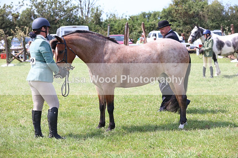 JPP_3408 - Class 22: Working Hunter 70cm