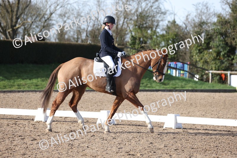 20260214-0612 - Class 5 - Novice 3